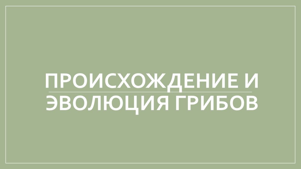 Происхождение и эволюция грибов