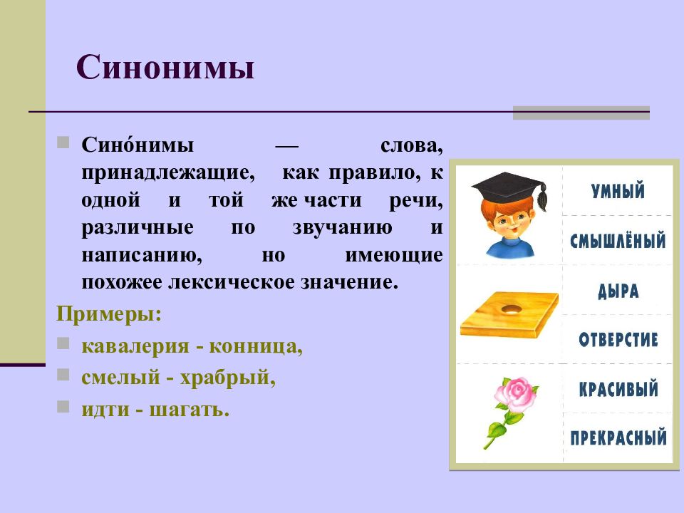 Дремотный синоним 7 букв. Паронимы и омонимы различия. Синонимы 2 класс примеры.