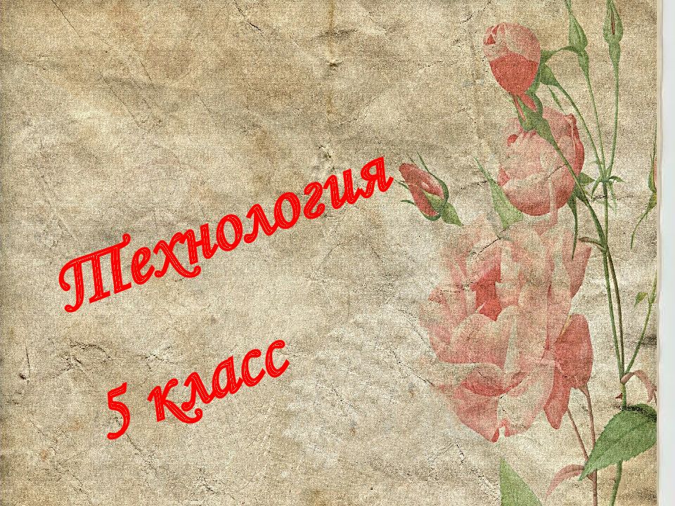 Технология 5 класс
