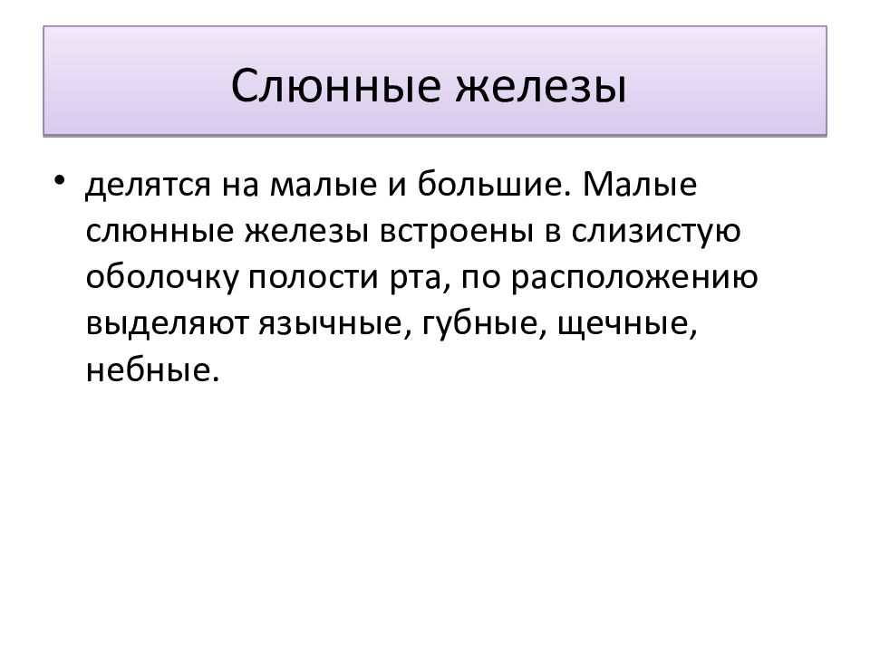 Слюнные железы относятся к железам внешней секреции. К большим слюнным железам относятся. Слюнные железы делятся на большие и малые