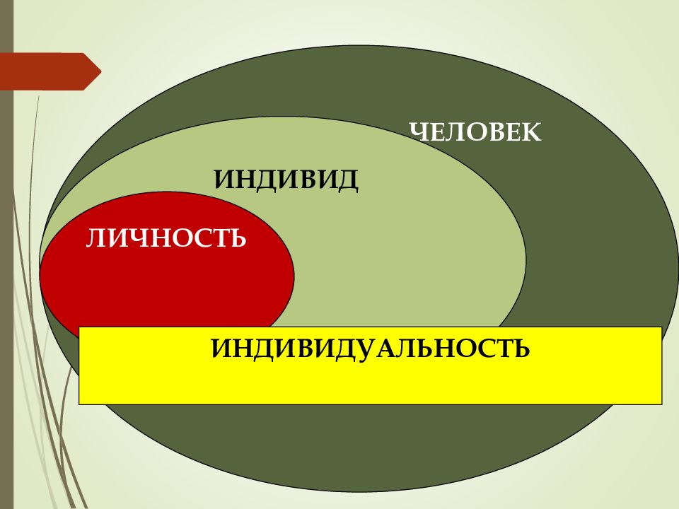 Индивид личность индивидуальность картинка