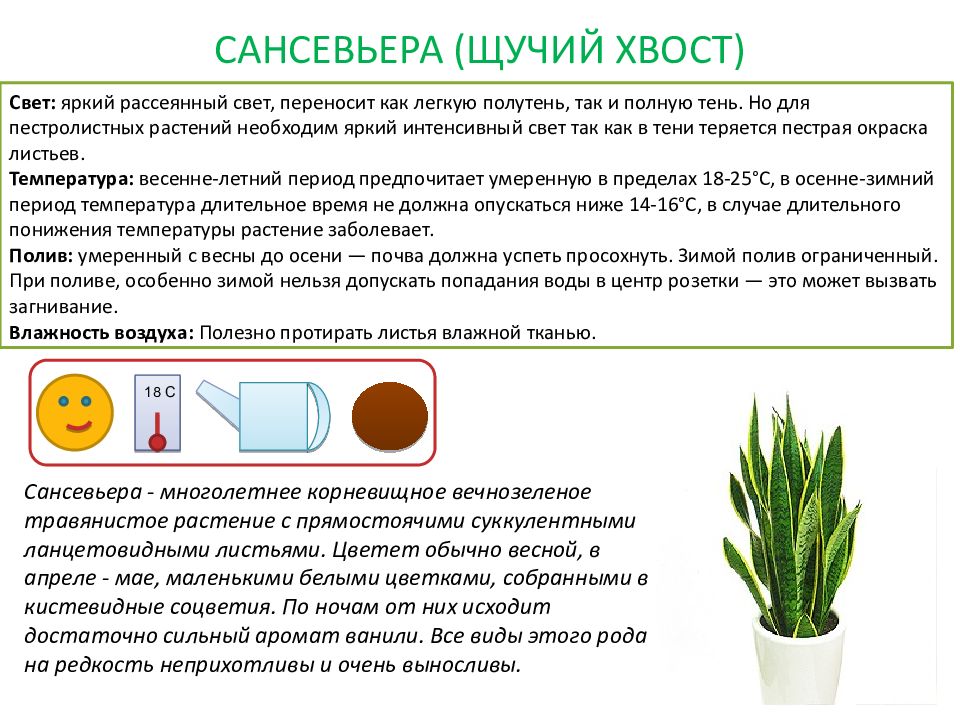 Паспортизация растений презентация