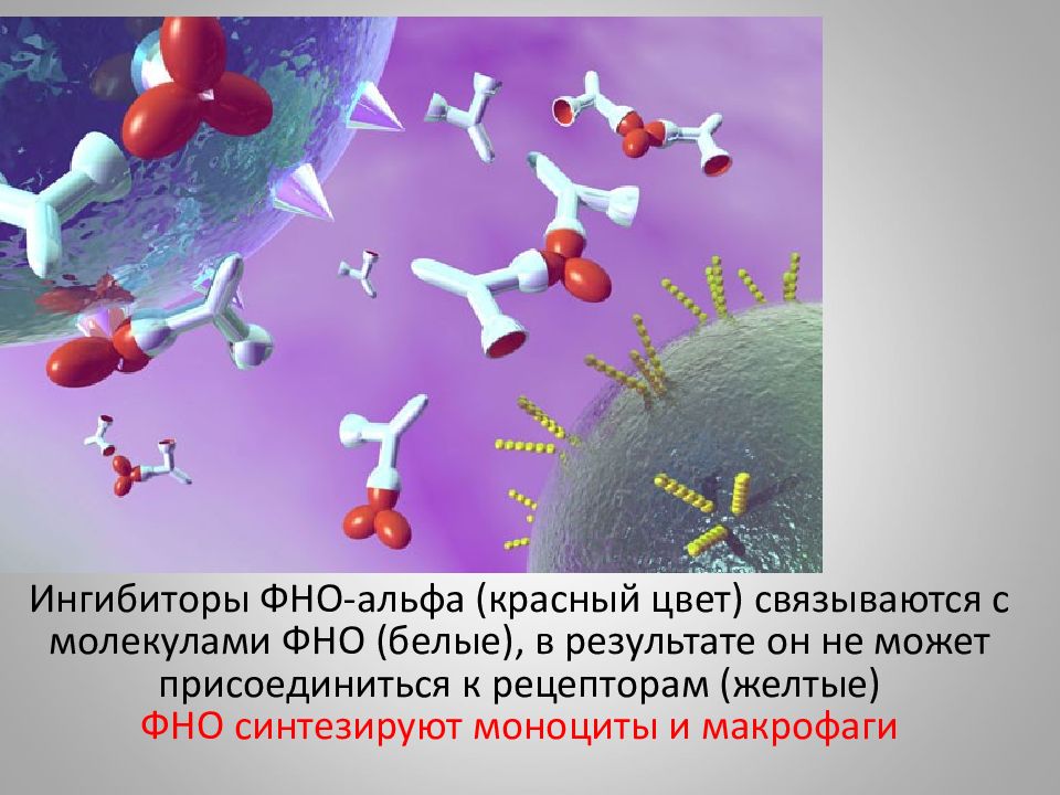 Фно это. Фактор некроза опухоли Альфа. Блокаторы фактора некроза опухоли Альфа. Ингибиторы ФНО Альфа. Фактор некроза опухоли Альфа функции.