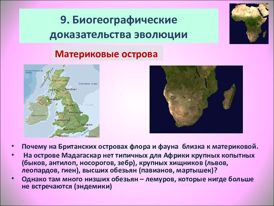 Биогеографические доказательства эволюции картинки