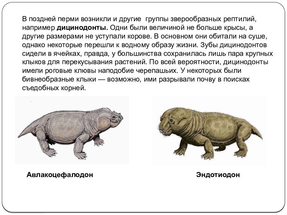 Пермь период презентация