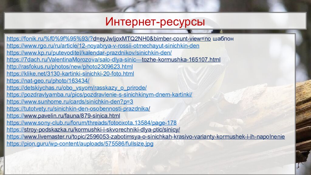 Интернет-ресурсы