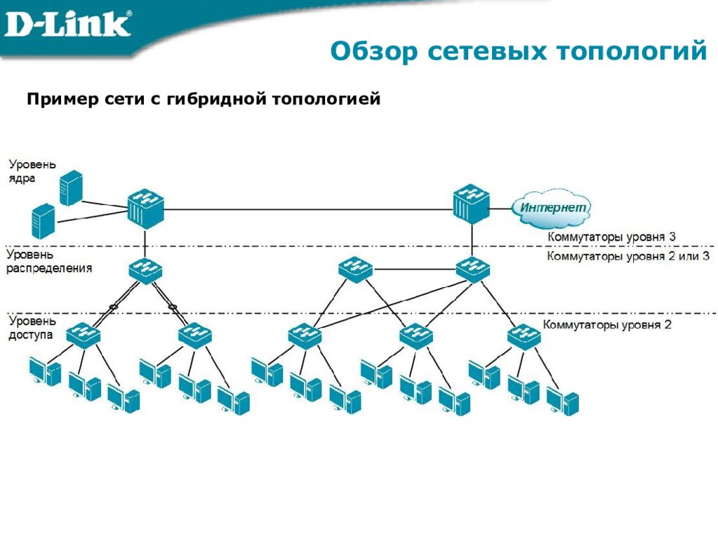 Сети форумах. Топология локальной сети гибрид. Обзор сетевых технологий. Гибридная топология сети. Гибридная локальная сеть.