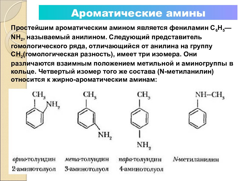 Презентация по аминам