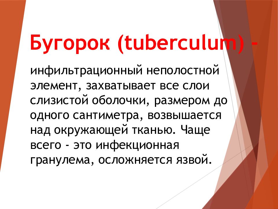 Бугорок ( tuberculum ) -