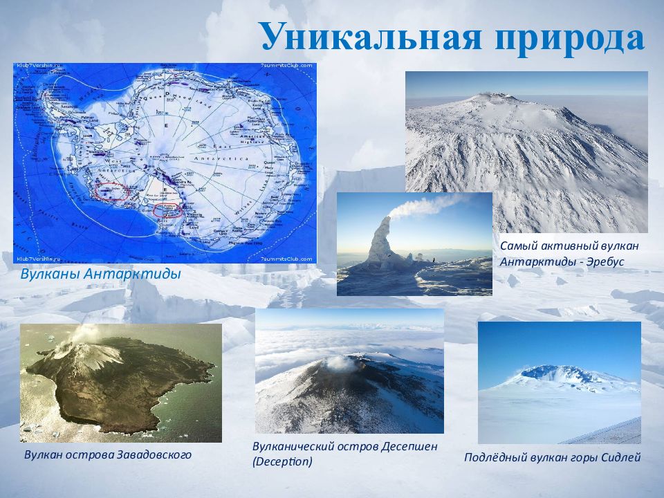 Вулкан эребус в антарктиде координаты. Антарктида материк Эребус. Вулкан Эребус в Антарктиде. Вулкан гора Эребус Антарктида. Координаты вулкана Эребус в Антарктиде.