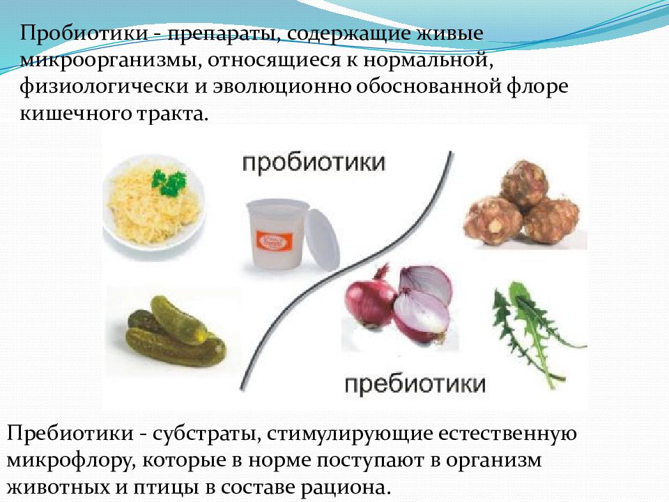 Препараты железа и пробиотики. Пробиотики презентация. Пробиотики и пребиотики презентация. Пробиотики получение. Пробиотики это живые микроорганизмы.