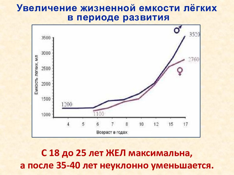 Как увеличить жизненную емкость легких. Увеличение жизненной емкости легких. Увеличение жизненного объема легких.