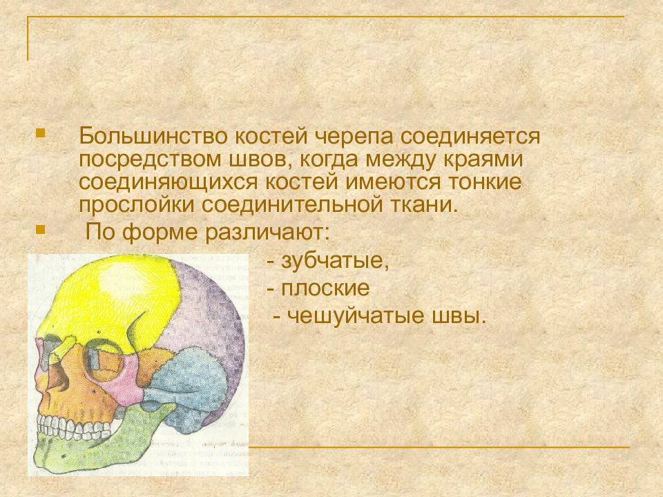 Швы на черепе ребенка. Плоские швы черепа. пальпация швов черепа. закрытие швов черепа. l-образный шов черепа.