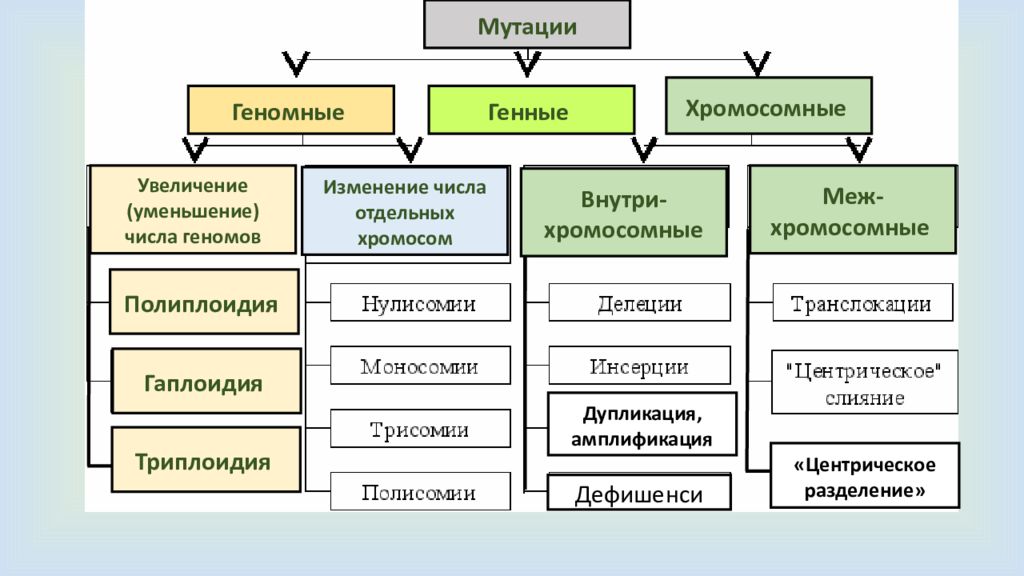 На какие типы делятся мутации