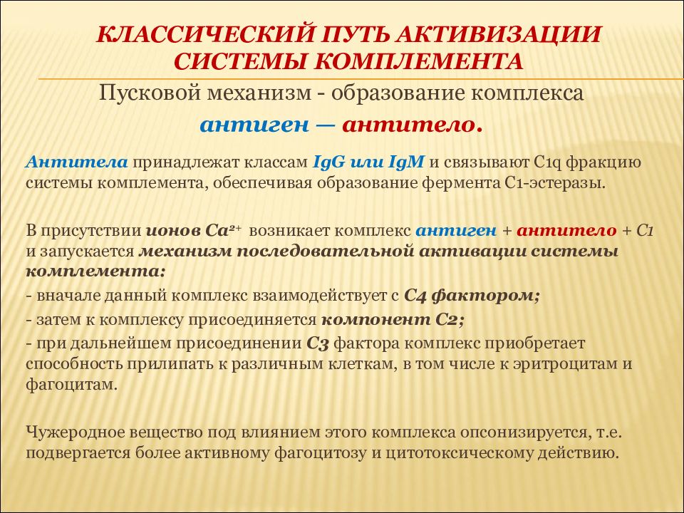 Пути активации системы комплемента. Классический путь активации комплемента. Факторы естественной защиты организма. Пути активизации противоопухолевой защиты..