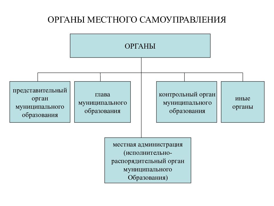 Проект органы местного самоуправления в моем регионе