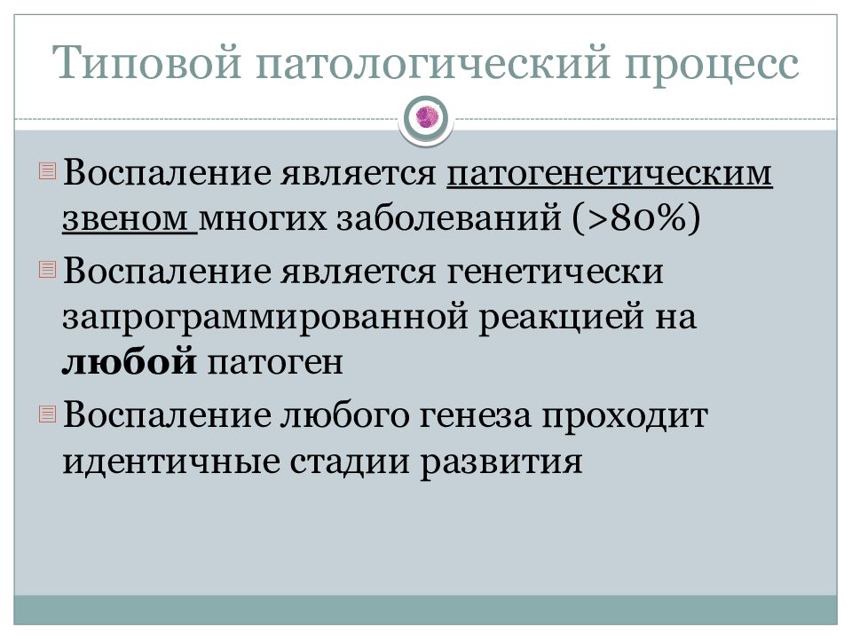 Воспаление типовой патологический процесс. Типовые патологические процессы. Воспаление это типовой патологический процесс. Признаки типового патологического процесса. К типовым патологическим процессам относятся.