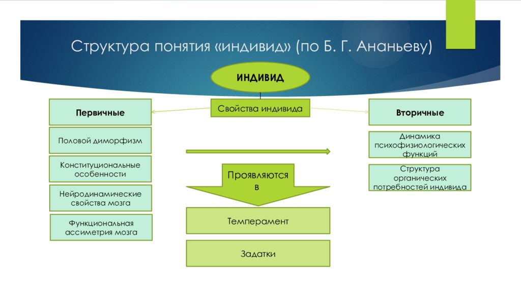 Структура понятий человек. Статистика заболеваний периферической нервной системы. Как устроена Центральная и периферическая. Периферические нервы классификация на группы.