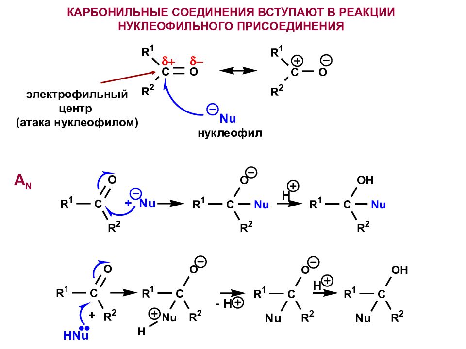 Циклическое карбонильное соединение. Механизм реакции нуклеофильного соединения. Реакция нуклеофильного присоединения альдегидов.