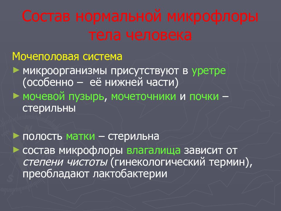 Состав нормальной. Микрофлора мочеполовой системы человека. Состав нормальной микрофлоры тела человека. Состав нормальной микрофлоры человека зависит от. Состав нормальной микрофлоры мочевыделительной системы.