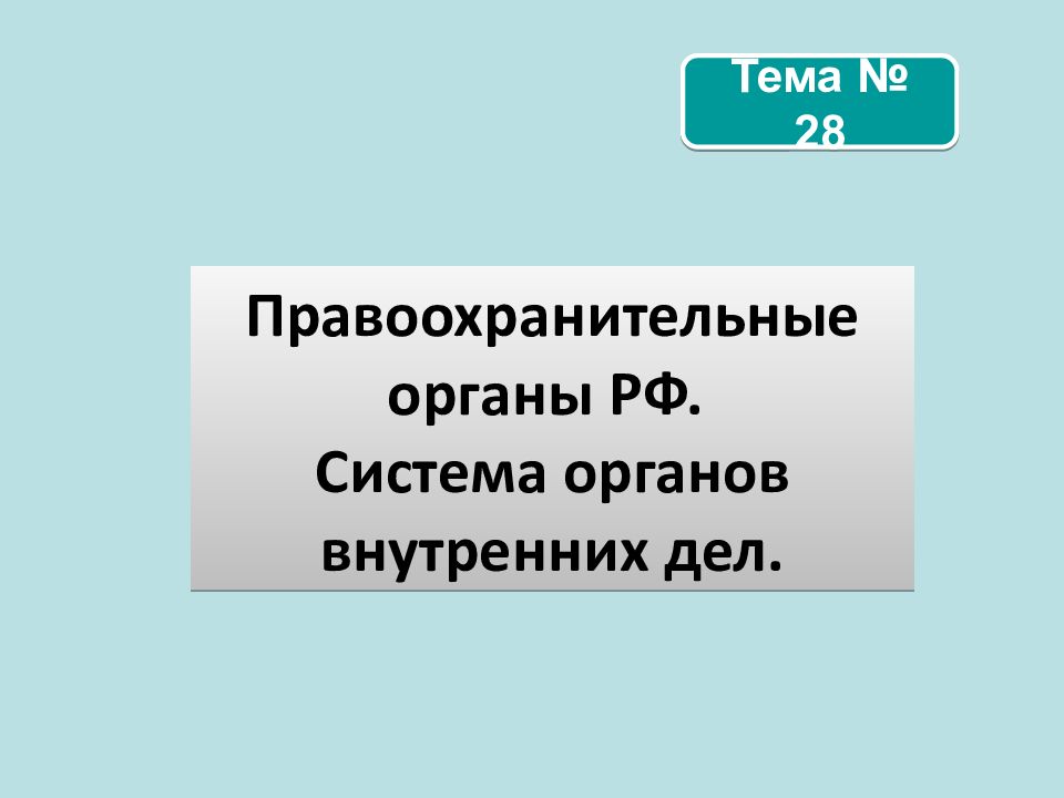 Шаблон презентации правоохранительные органы