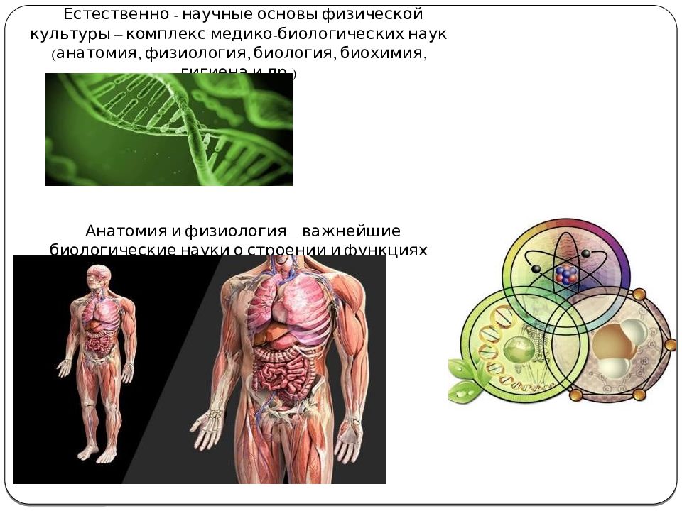 Естественные науки человека. Организм человека биологическая система. Организм человека как Единая биологическая система. Естественно-научные основы физической культуры. Анатомия человека наука.