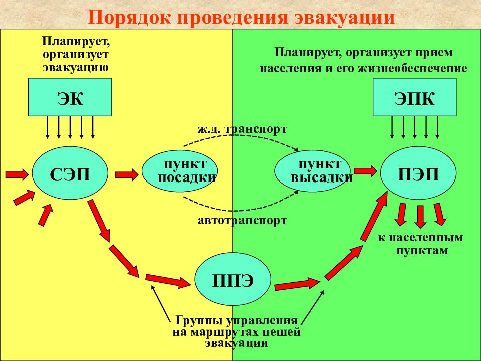 Порядок организации проведения. Порядок организации эвакуации. Порядок эвакуации населения. Порядок проведения эвакуации на предприятии. План эвакуации населения.