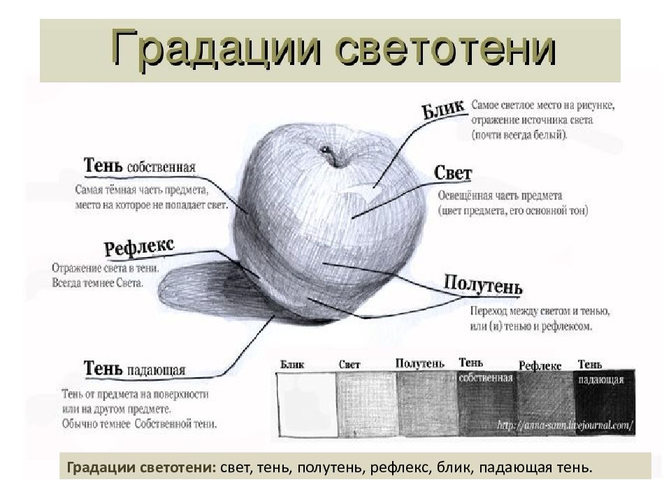 Рефлекс в фотографии это