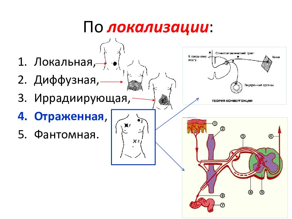 Физиология боли физиология презентация