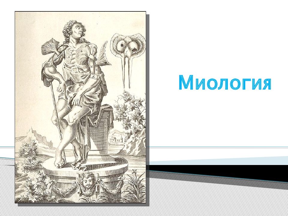 Миология