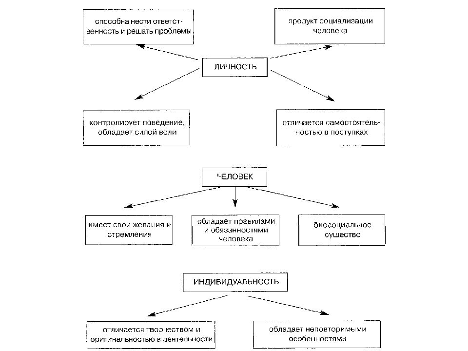 Обществознание схемы 8 класс