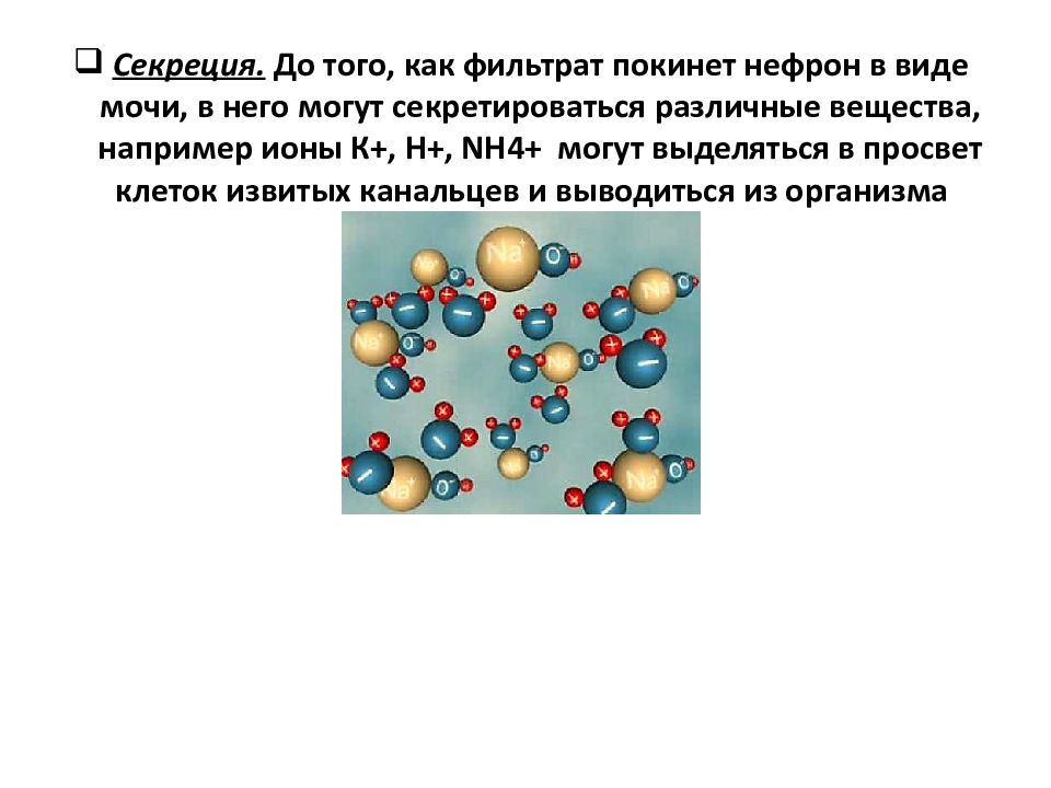 Невозможные ионы. Орган, в клетках которого секретируется вещество, эмульгирующее жиры. Ониевые ионы.