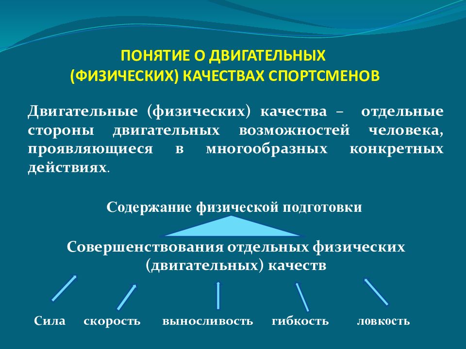 Виды физических понятий. Понятие о физических качествах. Двигательные качества человека. Основные двигательные качества человека. Понятия о двигательных качествах..