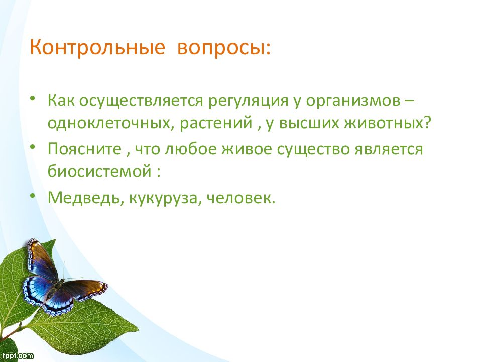 Вопросы на организм. Как осуществляется регуляция у одноклеточных организмов. Как осуществляется регуляция у растений. Регуляция у высших организмов. Регуляция жизнедеятельности у одноклеточного организма.