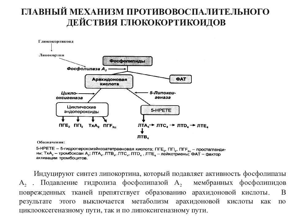 Глюкокортикоиды что это за препараты