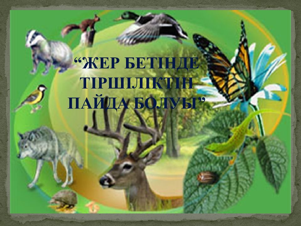 Жер бетінде тіршілік т ін пайда болуы”