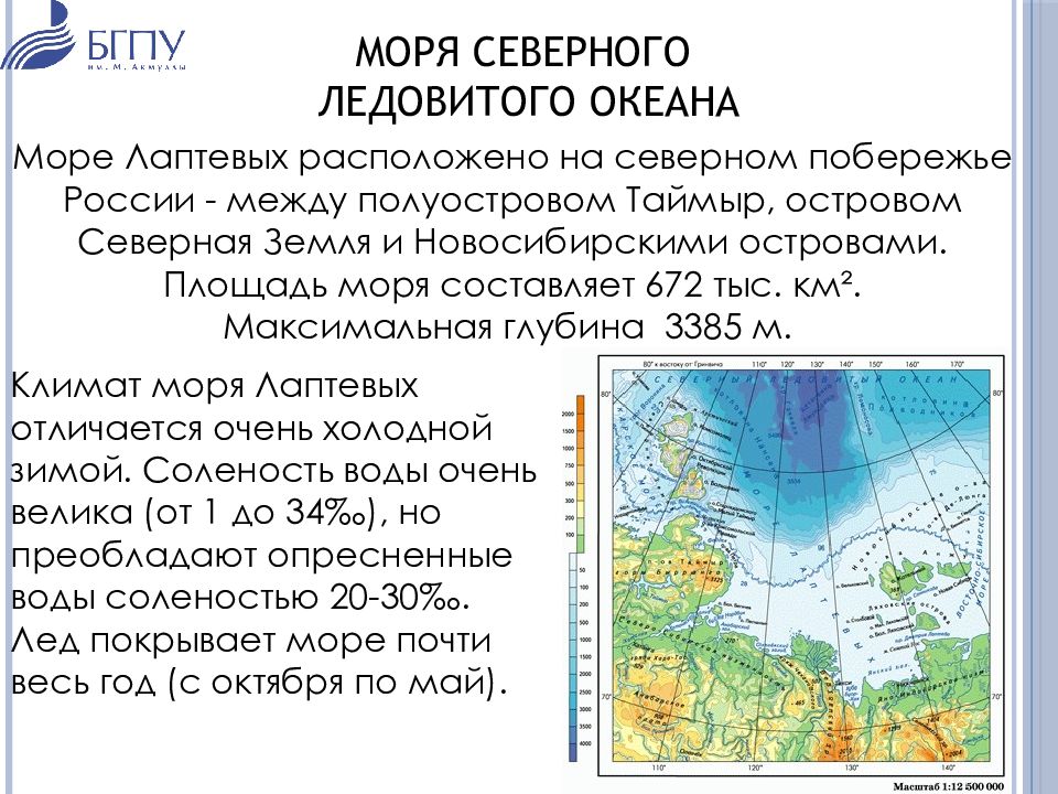 Моря омывающие россию 8 класс география презентация