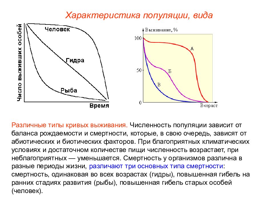 Различные кривые. Различные типы кривых выживания. Кривые выживания популяций. Типы кривых выживаемости. Типы кривых выживания популяции.