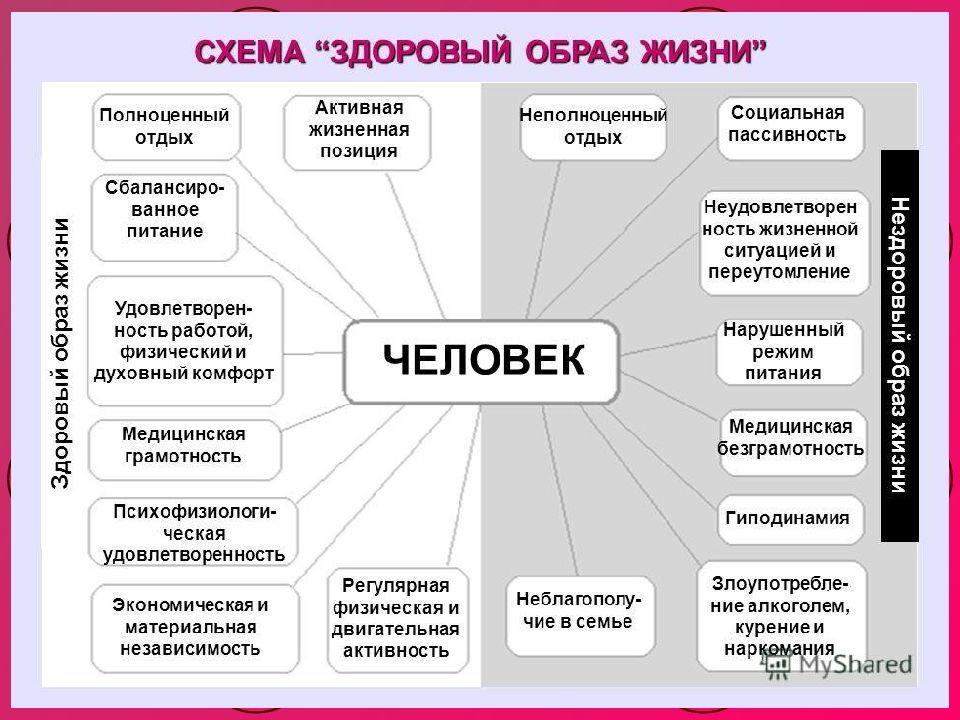 Дополните схему об основных элементах здорового образа жизни