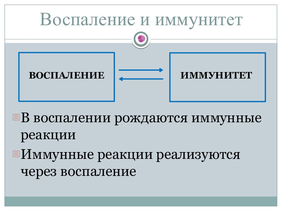 Система воспаления. Роль иммунных реакций в развитии воспаления. Роль иммунной системы в процессе воспаления. Воспаление и иммунитет. Воспаление и его роль в иммунном ответе..