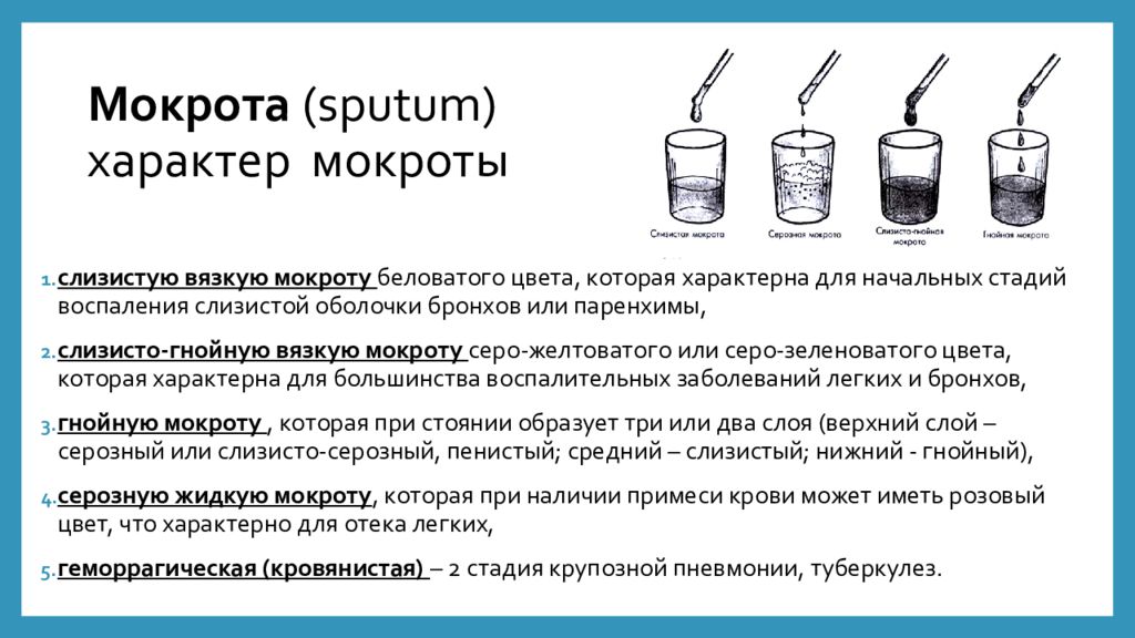 Какая бывает мокрота картинки