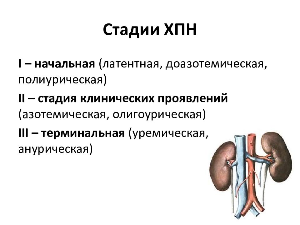 Острая и хроническая почечная недостаточность у детей презентация