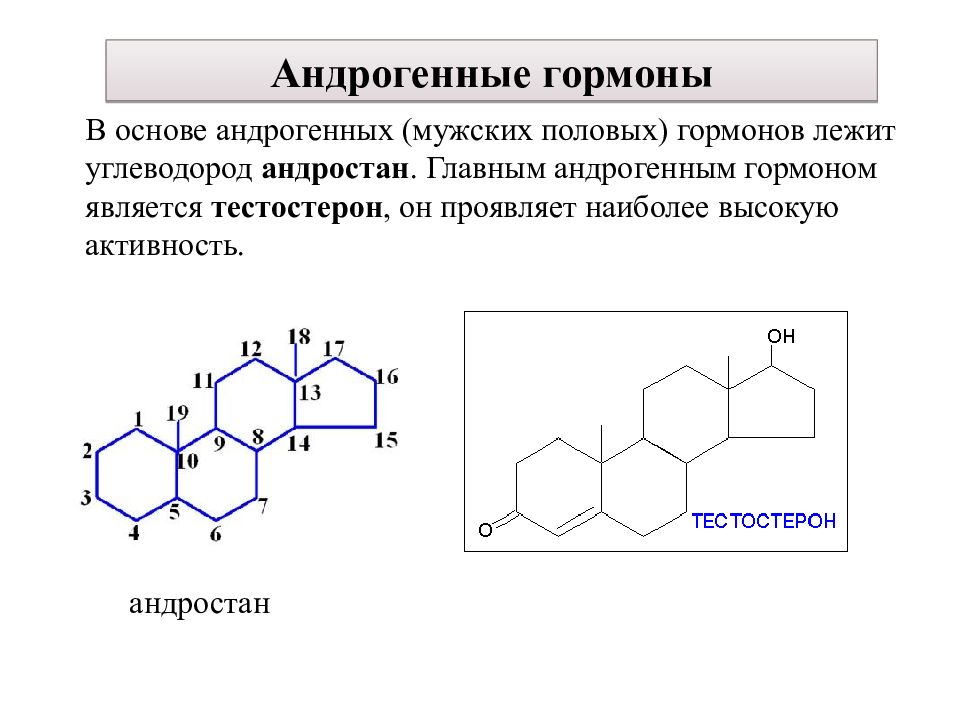 Строение основа. Мужские половые гормоны (андрогены) тестостерон. Андроген стероидный гормон функции. Тестостерон строение. Андрогенные гормоны формула.