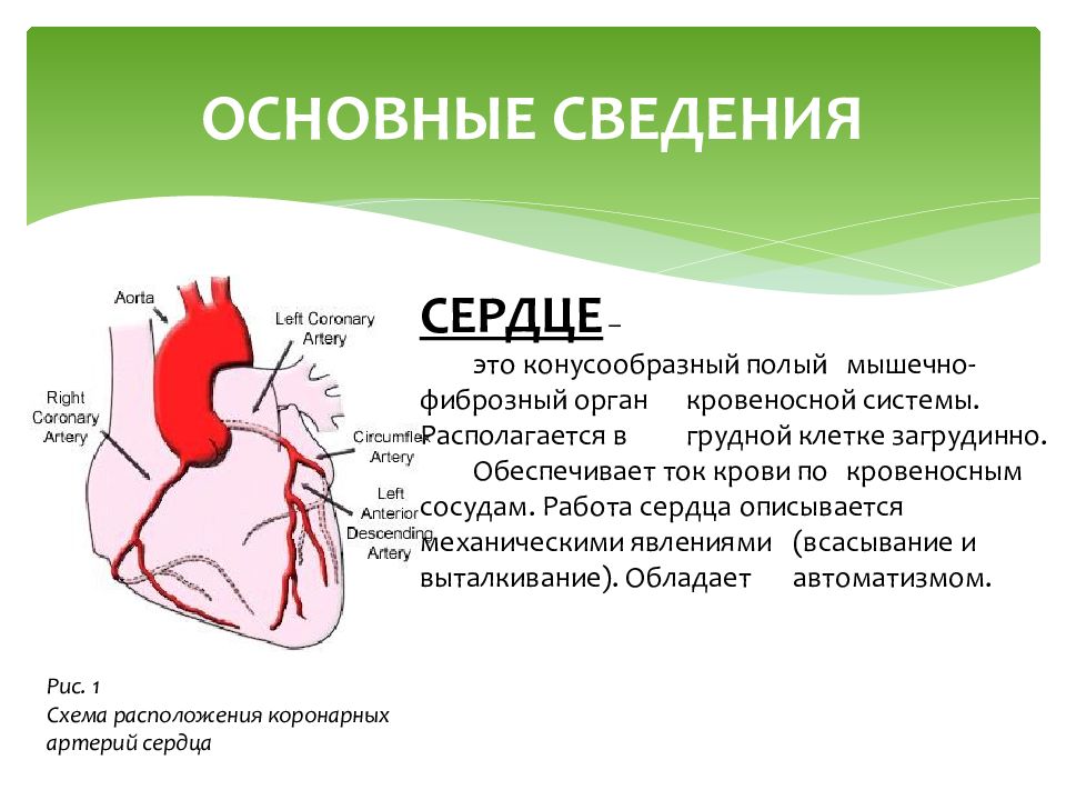 Заболевания сердечно сосудистой системы презентация