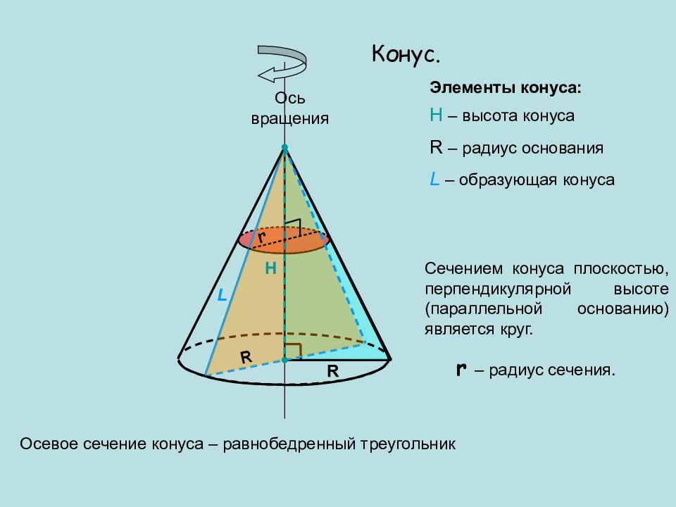 Высота в два раза меньше основания. Образующая конуса. Элементы конуса. Осевое сечение конуса. Образующая конуса конуса.