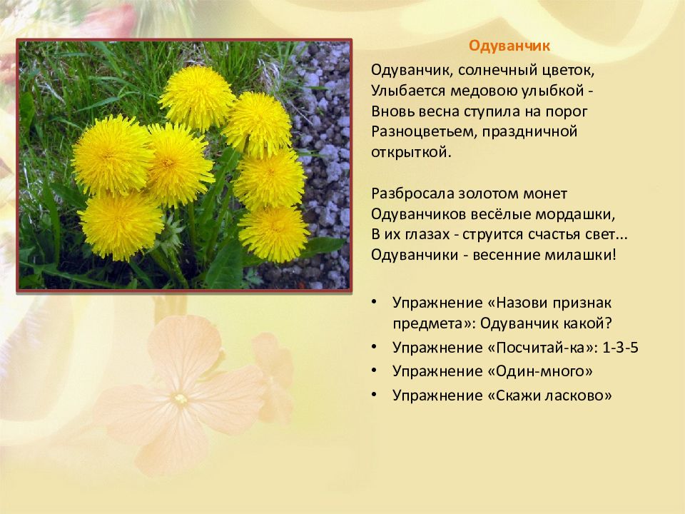 Стихи про одуванчики для детей 3 лет. Стих про одуванчик. Стих про одуванчик для детей. Загадка про одуванчик. Стих про одуванчик для детей короткие.