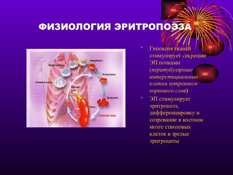 Физиологическая анемия у грудничка форум