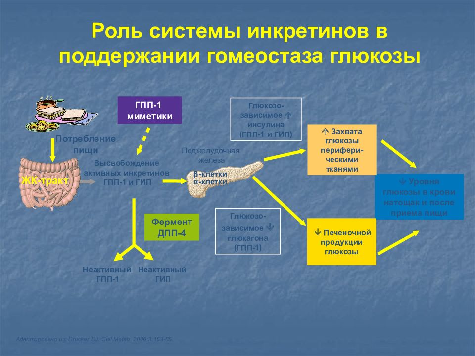 Этиология патогенез классификация и диагностика сахарного диабета. Инкретины. Патогенез клиническая картина. Инкретины механизм действия. Система ролей.