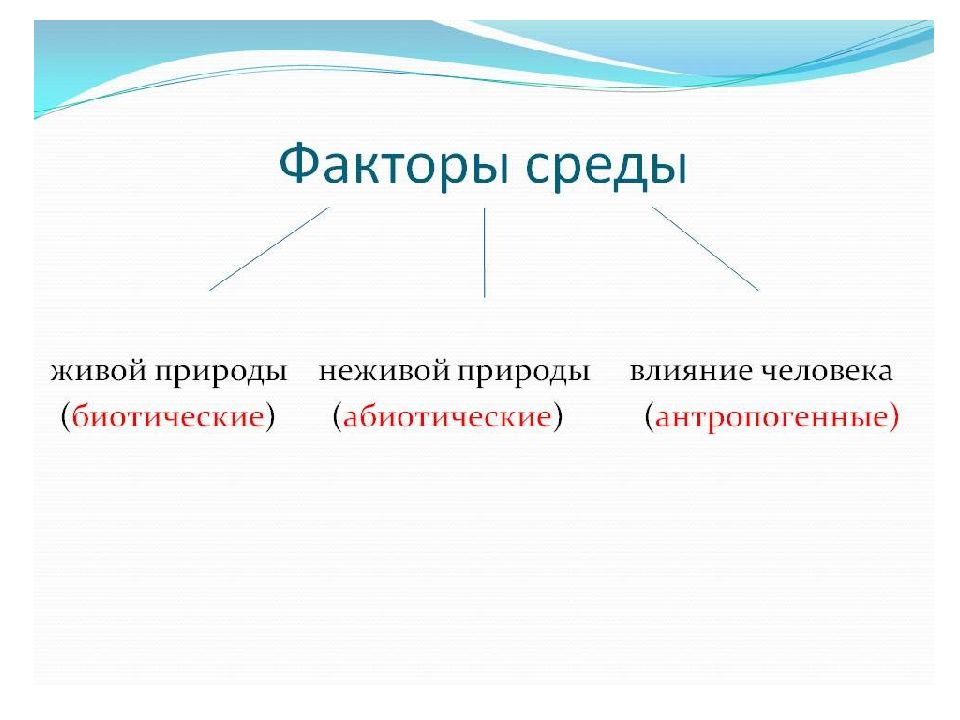 Среда обитания и факторы среды экология презентация