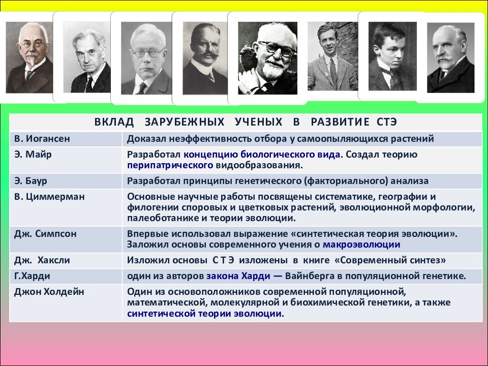 Приведите примеры взаимодействия советских и зарубежных ученых. Синтетическая теория эволюции ученые. Вклад ученых в синтетическую теорию эволюции. Вклад ученых в создание синтетической теории эволюции. Синтетическая теория эволюции таблица ученые.